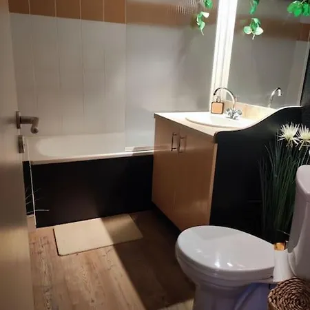 Апартаменты Le Cosy Fleuri
