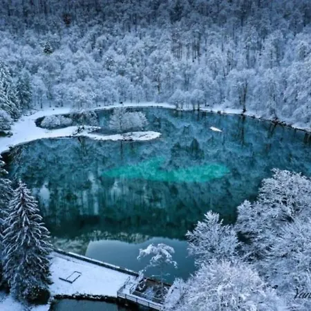 Le Cosy Fleuri * Ustou