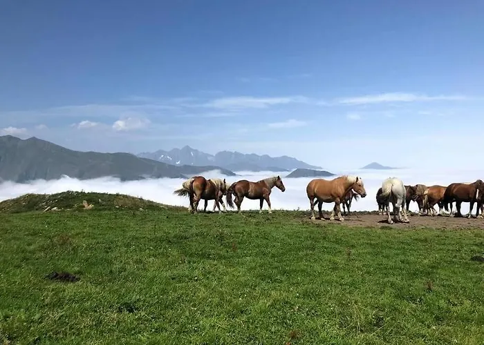 Le Cosy Fleuri Apartament Ustou