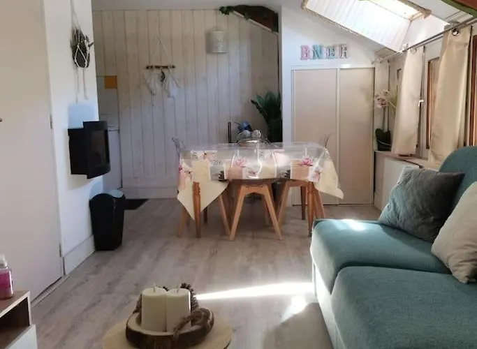 Apartament Le Cosy Fleuri *