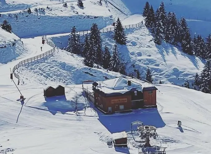 Le Cosy Fleuri Apartament Ustou