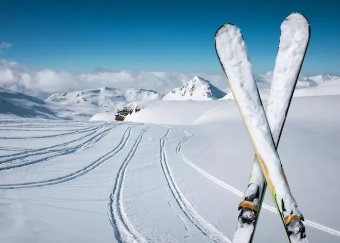 Le Cosy Fleuri Ustou