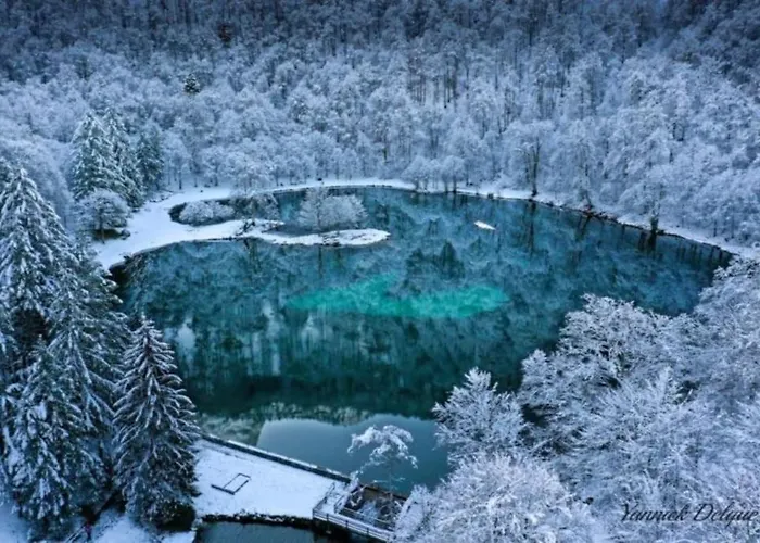 Le Cosy Fleuri * Ustou