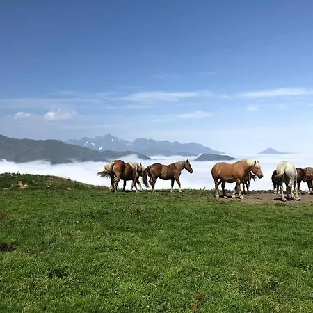 Le Cosy Fleuri Apartment Ustou