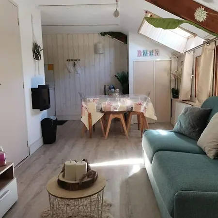 Apartamento Le Cosy Fleuri *