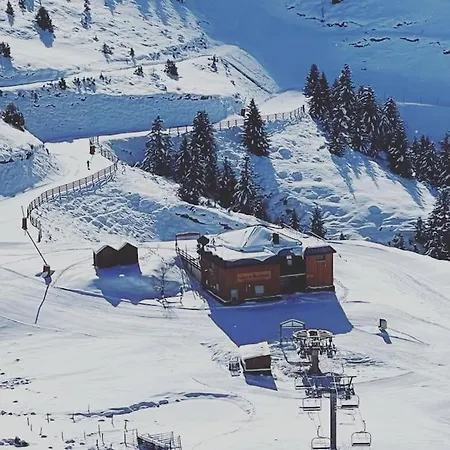 Le Cosy Fleuri Apartment Ustou