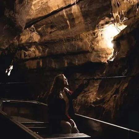 Le Cosy Fleuri Apartment